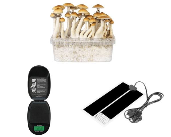 microdose-mushroom-kit