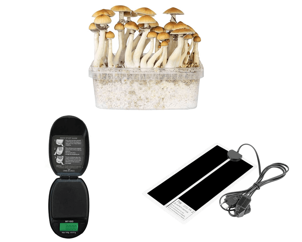 microdose-mushroom-kit